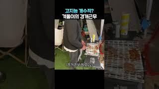 겨울이는 야근 중 #Shorts