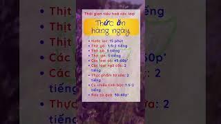 Bí Kíp Khỏe Mạnh Của Người Xưa | Khỏe quá trời ơi! #khoequatroioi #songkhoemoingay #songtho