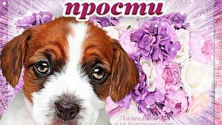 IWA:Спустя год