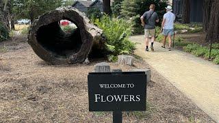 Refined Exploring at Flowers Winery in Healdsburg California