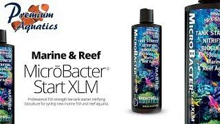 Brightwell Aquatics Microbacter Start XLM