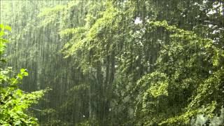 Torrential rain - relaxing rain with nature sounds