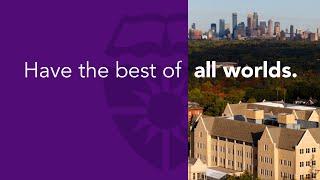 Discover Your Fit: Why University of St. Thomas is Just Right for You!