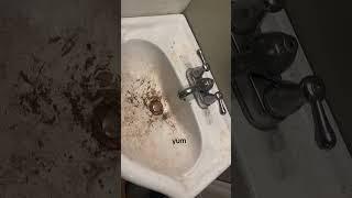 Cleaning my makeup sink 