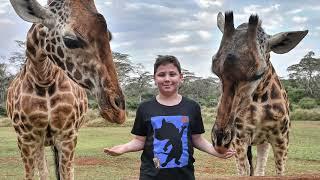 24 hours at Giraffe Manor, Nairobi Kenya 4K