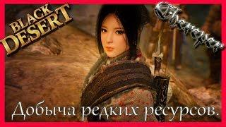 Гайд по добыче редких ресурсов в Black Desert Проки с узлов.