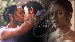 Kate & Anthony | Wildflower