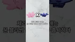 그로우 어 가든 체리블라썸 7가지 tmi!