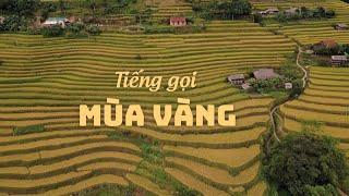 Tiếng gọi mùa vàng | SẮC MÀU CÁC DÂN TỘC | VTV5