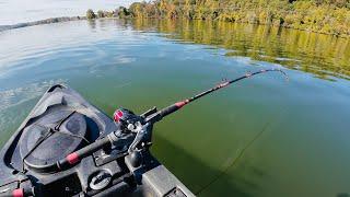 HUGE Catfish SMASH Kayak Rods