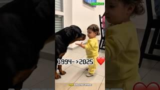 A Lifelong Guardian: My Dog Since 1994 #k9 #germanshepherd #puppy #dog #rottweiler