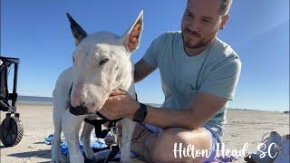 One year without Rocky