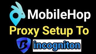 How to setup mobilehop proxy in bitbrowser