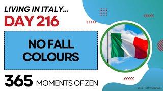 Living in Italy | NO FALL COLOURS | Day 216 | Moving from Canada to Italy | 365 Moments of Zen