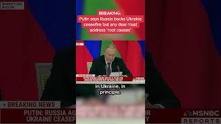 Putin says Russia backs Ukraine ceasefire but any deal must address 'root causes'