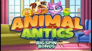 159x Animal Antics Slot (INSPIRED GAMING) Huge Online Slot Win