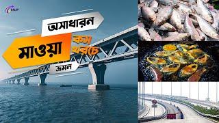 অসাধারন মাওয়া ভ্রমন কম খরচে | Amazing Mawa Travel | MUP Travelling Guideline