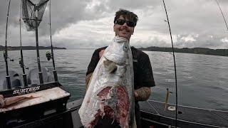 Chasing BIG Snapper and Kingfish in the Hauraki Gulf