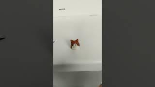 кот Васька