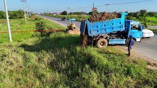 Perfectly New Project! Technique Dump Truck 5Ton Filling Land & Dozer D20 Pushing Soil Unloading