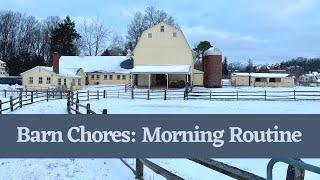 Barn Chores: Morning Routine