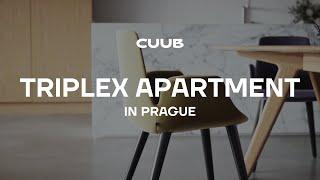 Triplex apartment in Prague. Architectural animation