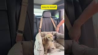 Keep tails wagging and paws safe—buckle up your pup with a Urban Voyager! No seat, no treat!