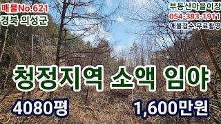 매물No.621 경북 의성군 의성임야 의성토지 의성땅 매매 의성부동산