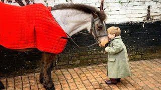 Special Moment between a Little Friend and a Horse ️