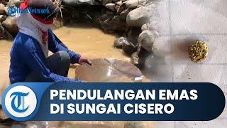 Lihat Langsung Pendulangan Emas di Sungai Cisero Kabupaten Bogor, Pakai Cara Unik dalam Prosesnya