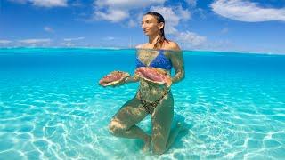 Ocean SENSORY: Dive, Catch and Cook ️ (Bahamas)