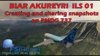 Setting Up the Perfect BIAR 01 Approach: Creating and Sharing Snapshots for PMDG 737-600