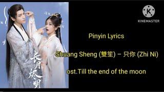 Pinyin Lyrics cover Shuang Sheng (雙笙) – 只你 (Zhi Ni) ost till the end of the moon