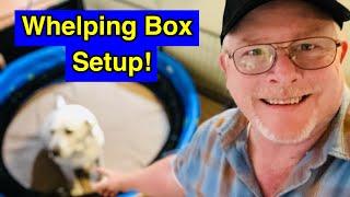 Whelping Box Setup DIY: Find Out How To Do It!