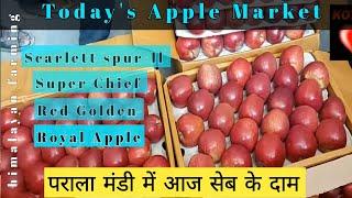 Today's Super Chief, Scarlett Spur Etc Market at Parala Mandi | Himalayan Farming | Market Update