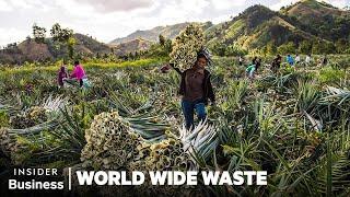 How People Profit Off Pineapple Scraps | World Wide Waste | Business Insider