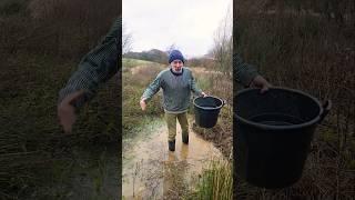 Stormy Howling Wind #storm #weather #gardening #adventure #permaculture #gales #wind #swampland #mud