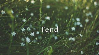 Tend - Hillside Recording & Diana Trout (Cover)