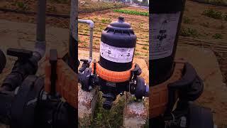 Agriculture activities | Drip system installation in farming system #drippers