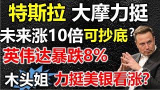 【木头姐不挺特斯拉】力挺英伟达，特朗普30分钟输出干翻美股以及英伟达？要逃命吗？#特斯拉股票 #美股 #股哥说美股 #tesla #马斯克 #AI #人工智能 #DeepSeek #chatgpt