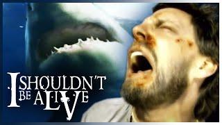 SHARK Survivor | I Shouldn't Be Alive | S01 E01 | Full Episodes | Thrill Zone