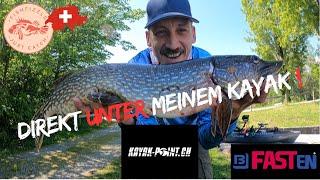 ENTSCHNEIDERT auf dem letzten METER! | FishFizzle