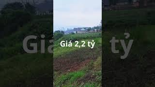 Lô đất nghỉ dưỡng ven Đà Lạt view cực đẹp  #bdsvendalat #batdongsan #batdongsanvendalat