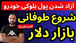 تحلیل قیمت دلار امروز | شروع طوفانی بازار دلار و ارز با آزاد شدن پول بلوکی واردات خودرو