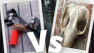 Slingshot Vs Possum skull - Predator Free 2050