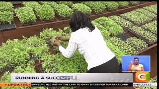 Running a successful seedlings raiser (Smart Farm) #JKL