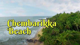 Chembarikka Beach: Where Silence Meets Coastal Charm