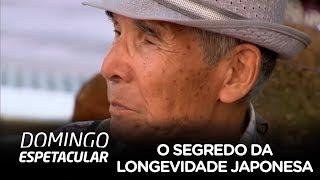 Ikigai: conheça o segredo da longevidade japonesa