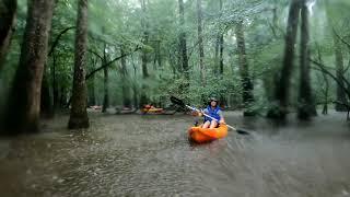 Congaree National Park 8/22/21