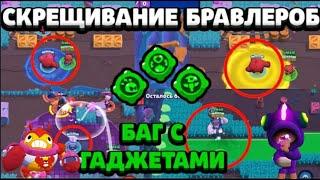 СКРЕЩИВАНИЕ БРАВЛЕРОВ / ГАДЖЕТОВ БРАВЛ СТАРС!  СКРЕЩИВАНИЕ ГАДЖЕТОВ BRAWL STARS!БАГ В БРАВЛ СТАРС!